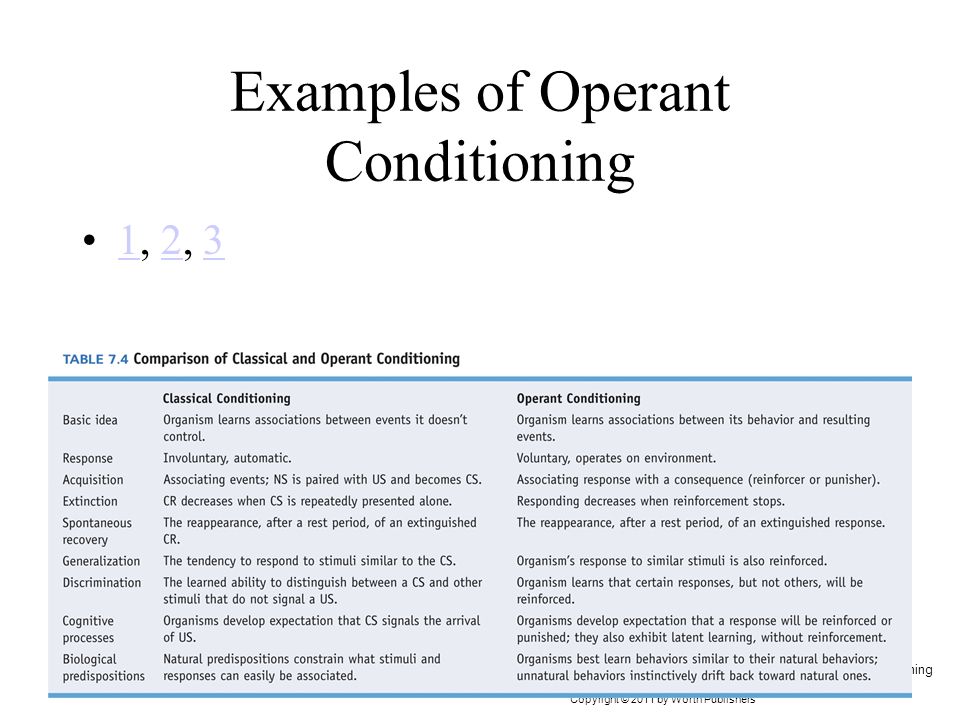 7 Operant Conditioning Examples: Reinforcement vs. Punishment